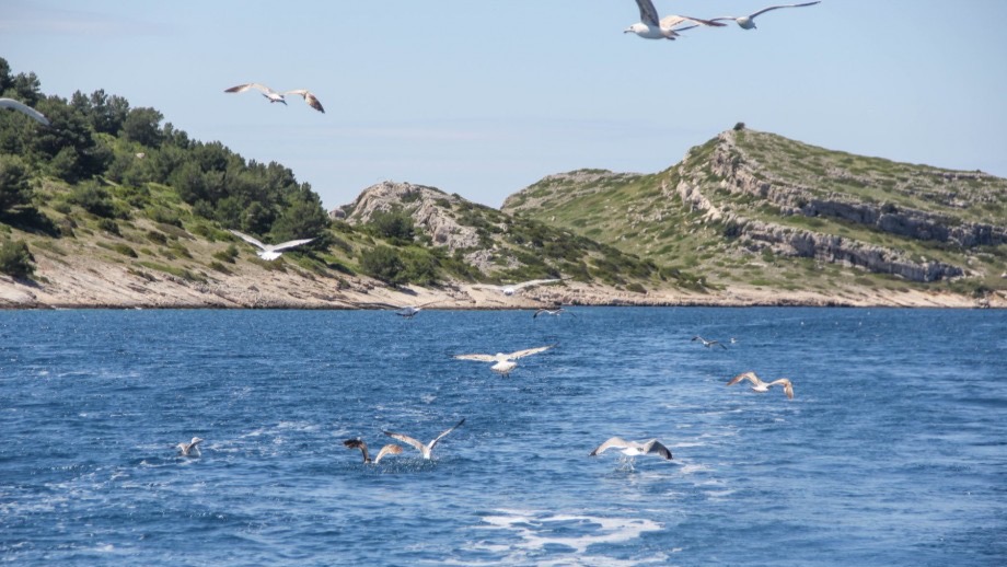 Super Boat excursion to Telašćica Nature Park (salt lake) and Levrnaka island (NP Kornati) - departure from Zadar